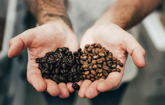 Trail Boss Bold: Riding the Edge of a French Roast